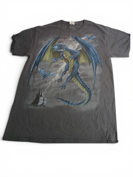 Fruit of the Loom Other - Dragon Graphic Tee - Dark Gray with Blue & Olive Fruit Of The Loom